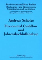 Discounted Cashflow Und Jahresabschlussanalyse