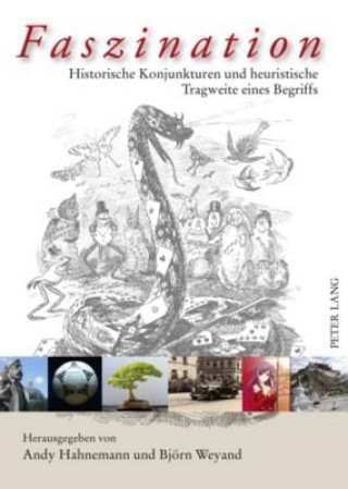 Faszination; Historische Konjunkturen und heuristische Tragweite eines Begriffs