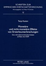 Monetaere Und Nicht-Monetaere Effekte Von Erwerbsunterbrechungen