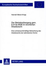 Betriebsuebergang Gem. 613a Bgb Im Kirchlichen Arbeitsrecht