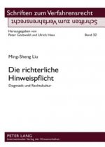 Richterliche Hinweispflicht