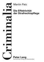 Effektivitaet Der Strafrechtspflege
