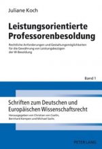 Leistungsorientierte Professorenbesoldung