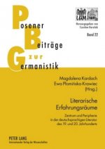 Literarische Erfahrungsreaume