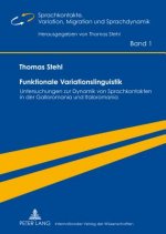 Funktionale Variationslinguistik; Untersuchungen zur Dynamik von Sprachkontakten in der Galloromania und Italoromania
