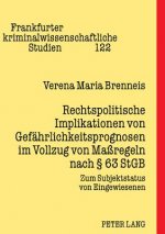 Rechtspolitische Implikationen Von Gefaehrlichkeitsprognosen Im Vollzug Von Massregeln Nach 63 Stgb