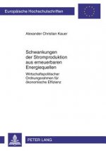Schwankungen Der Stromproduktion Aus Erneuerbaren Energiequellen