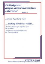... Making the Mirror Visible ...