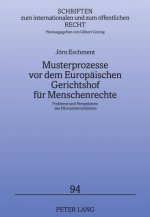 Musterprozesse VOR Dem Europaeischen Gerichtshof Fuer Menschenrechte