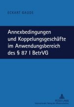 Annexbedingungen Und Koppelungsgeschaefte Im Anwendungsbereich Des 87 I Betrvg