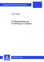 Beistandsklausel Im Vertrag Von Lissabon
