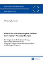 Grunde Fur Die Zulassung Der Revision in Deutschen Prozessordnungen