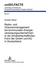 Risiko- Und Chancenmanagement Bei Kommunalen Energieversorgungsunternehmen in Der Privatwirtschaftlichen Form Der Gmbh Und AG in Deutschland