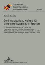 Innerstaatliche Haftung Fuer Unionsrechtsverstoesse in Spanien