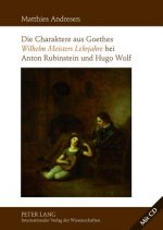 Charaktere Aus Goethes Wilhelm Meisters Lehrjahre Bei Anton Rubinstein Und Hugo Wolf