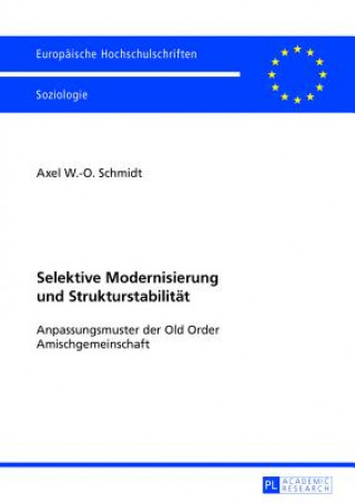 Selektive Modernisierung und Strukturstabilitaet