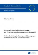 Standard-Mezzanine-Programme - Ein Finanzierungsinstrument Mit Zukunft?