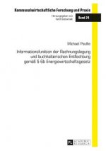 Informationsfunktion Der Rechnungslegung Und Buchhalterischen Entflechtung Gemaess  6b Energiewirtschaftsgesetz