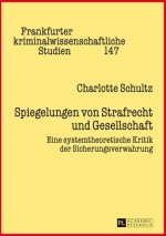 Spiegelungen Von Strafrecht Und Gesellschaft
