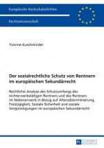 sozialrechtliche Schutz von Rentnern im europaischen Sekundarrecht; Rechtliche Analyse des Schutzumfangs des nichterwerbstatigen Rentners und des Rent