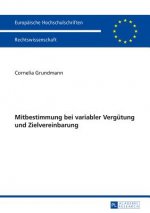 Mitbestimmung Bei Variabler Verguetung Und Zielvereinbarung