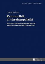 Kulturpolitik ALS Strukturpolitik?