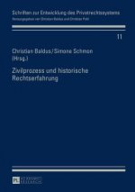 Zivilprozess Und Historische Rechtserfahrung