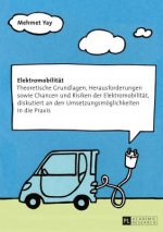 Elektromobilitat