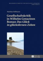 Gesellschaftskritik in Wilhelm Genazinos Roman 