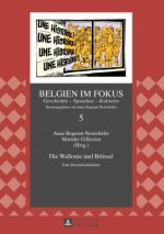 Die Wallonie Und Bruessel