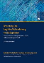 Bewertung und kognitive Wahrnehmung von Realoptionen; Simulationsbasierte und experimentelle Analysen im Kontext der Energiewirtschaft