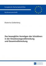 Bewegliche Vermoegen Des Schuldners in Der Einzelzwangsvollstreckung Und Gesamtvollstreckung