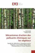 Mécanismes d'action des polluants chimiques sur les végétaux