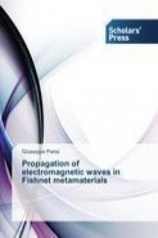 Propagation of electromagnetic waves in Fishnet metamaterials