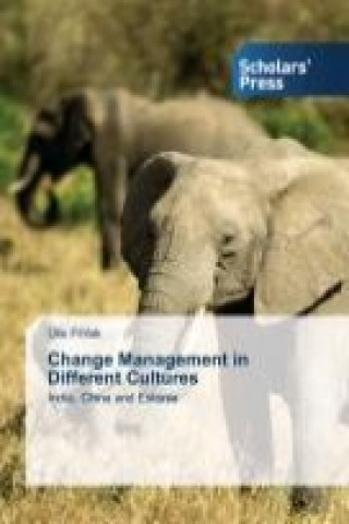 Change Management in Different Cultures