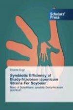 Symbiotic Efficiency of Bradyrhizobium japonicum Strains For Soybean