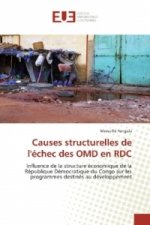 Causes structurelles de l'échec des OMD en RDC
