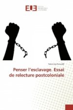 Penser l'esclavage. Essai de relecture postcoloniale