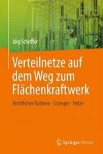 Verteilnetze auf dem Weg zum Flachenkraftwerk