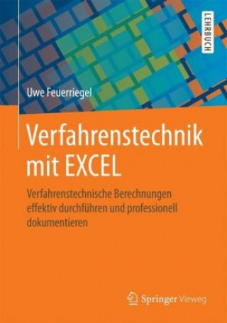 Verfahrenstechnik mit EXCEL