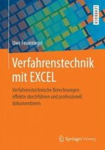 Verfahrenstechnik mit EXCEL
