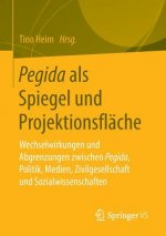 Pegida ALS Spiegel Und Projektionsflache