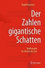 Der Zahlen gigantische Schatten