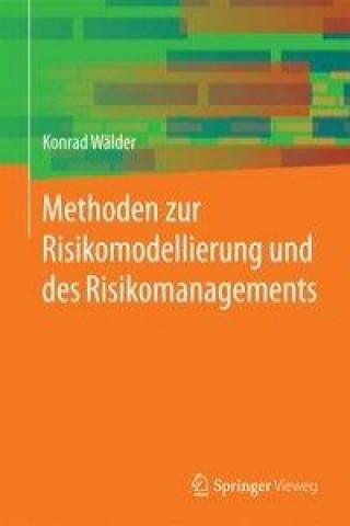 Methoden zur Risikomodellierung und des Risikomanagements