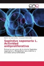 Sapindus saponaria L. Actividad antiproliferativa