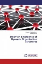 Study on Emergence of Dynamic Organization Structures