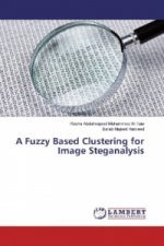 A Fuzzy Based Clustering for Image Steganalysis