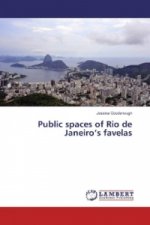 Public spaces of Rio de Janeiro's favelas