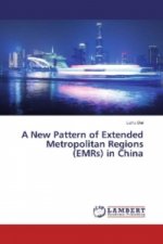 A New Pattern of Extended Metropolitan Regions (EMRs) in China