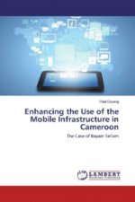 Enhancing the Use of the Mobile Infrastructure in Cameroon